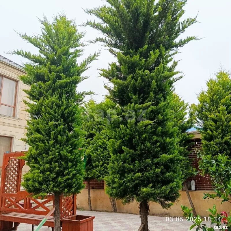 Satılır 4 otaqlı həyət evi 180 m²