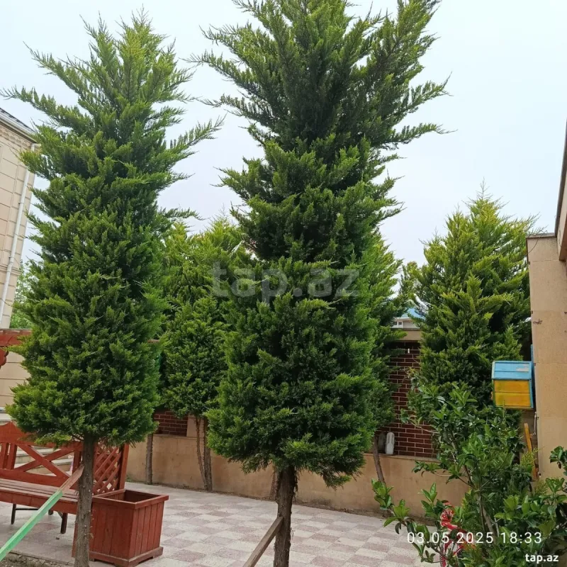 Satılır 4 otaqlı həyət evi 180 m²