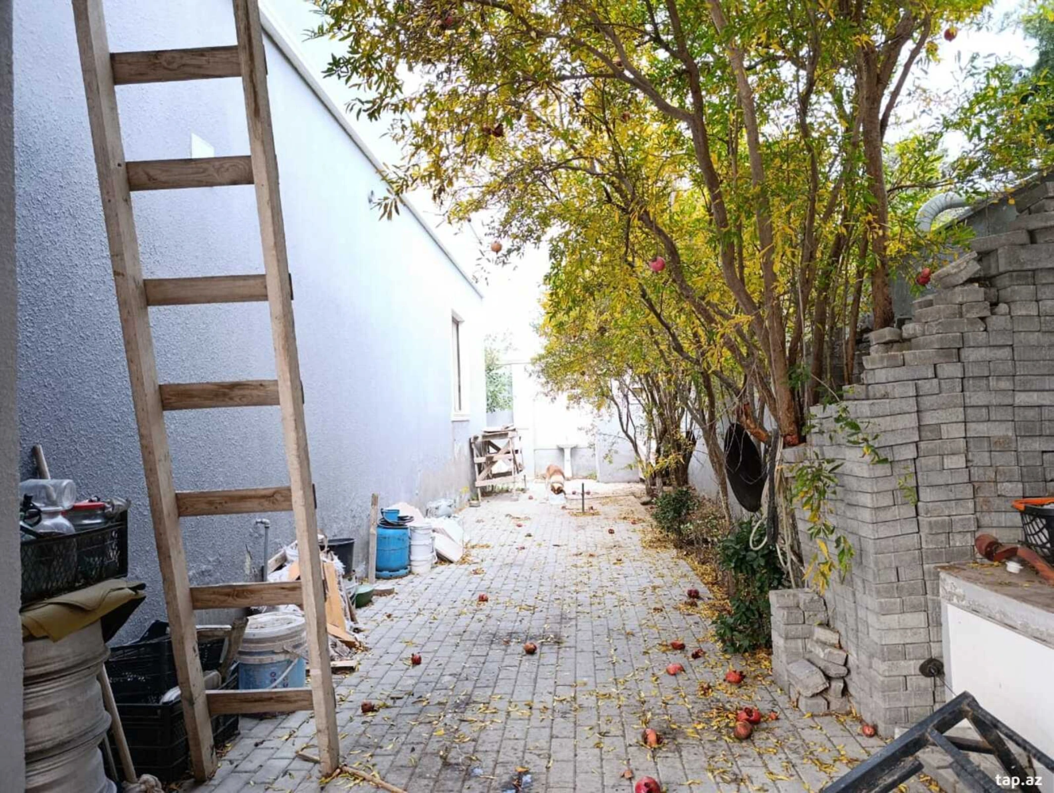 Satılır 5 otaqlı həyət evi 130 m²