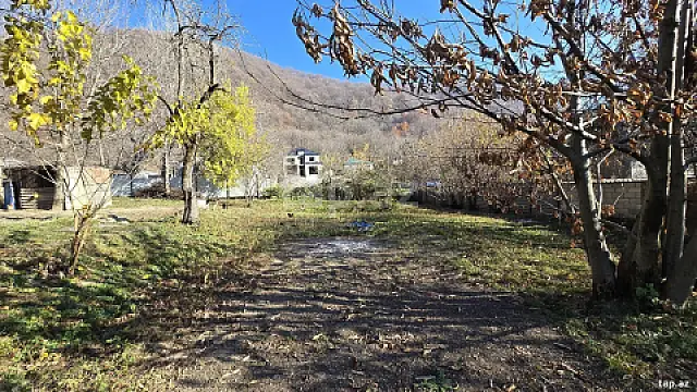 Satılır torpaq sahəsi — Qəbələ