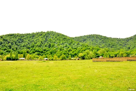 Satılır torpaq sahəsi — Qəbələ