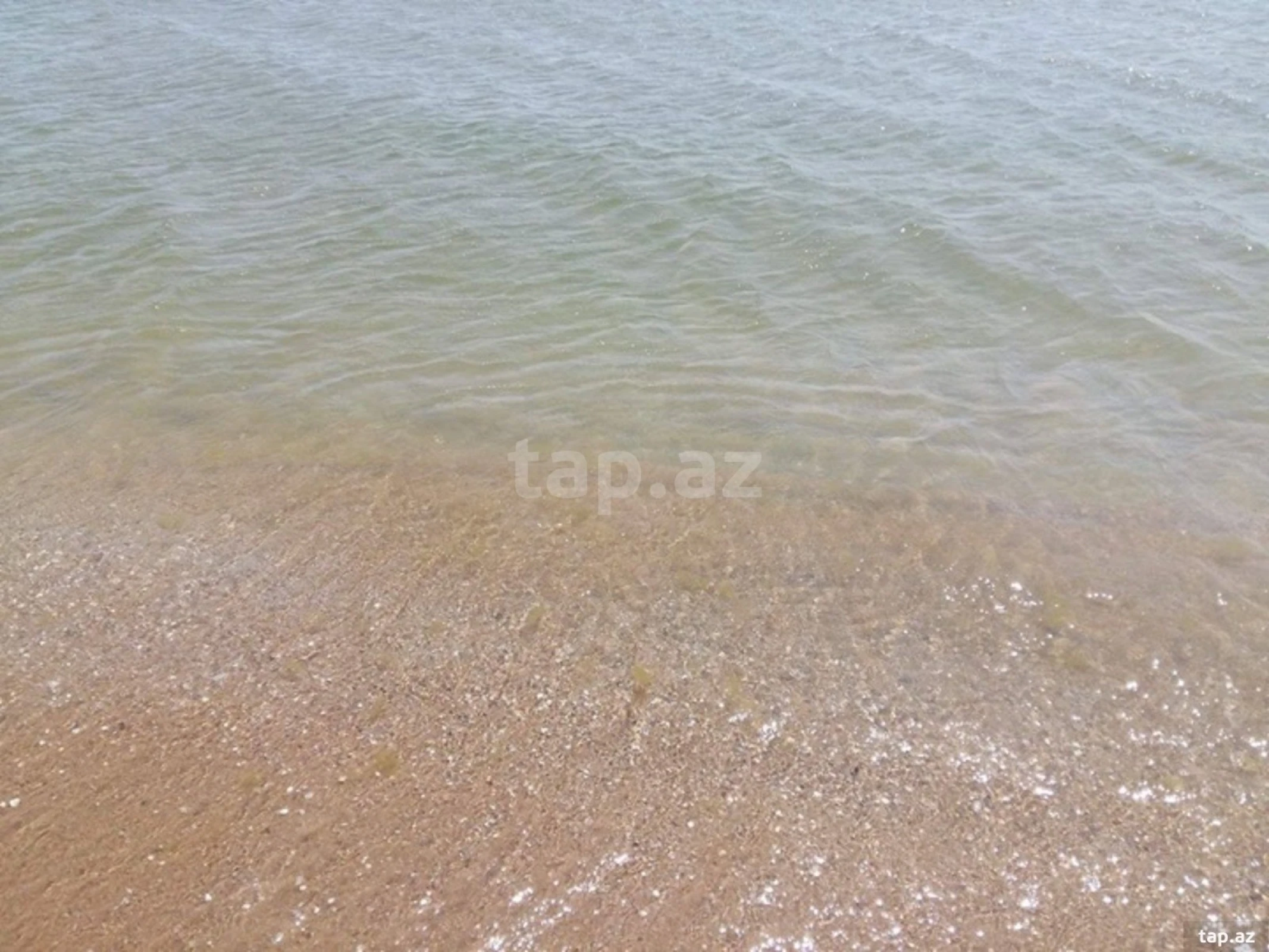 Satılır 6 otaqlı həyət evi