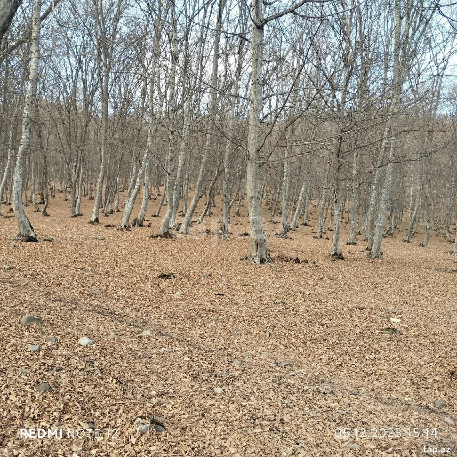 Satılır 6 otaqlı həyət evi