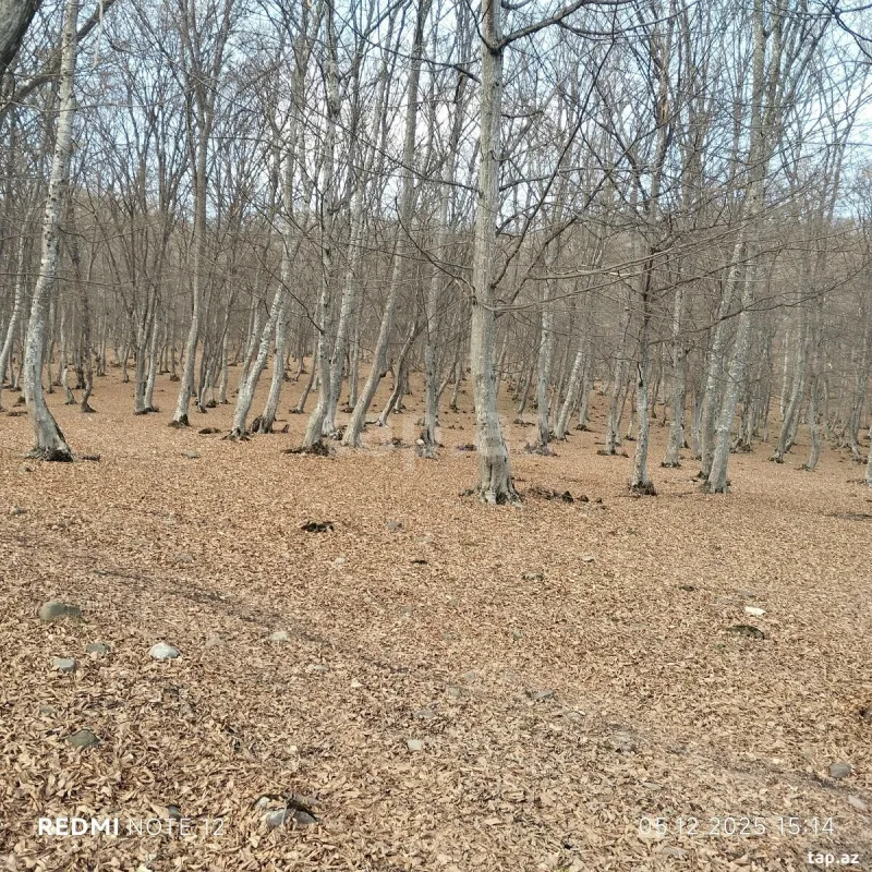 Satılır 6 otaqlı həyət evi