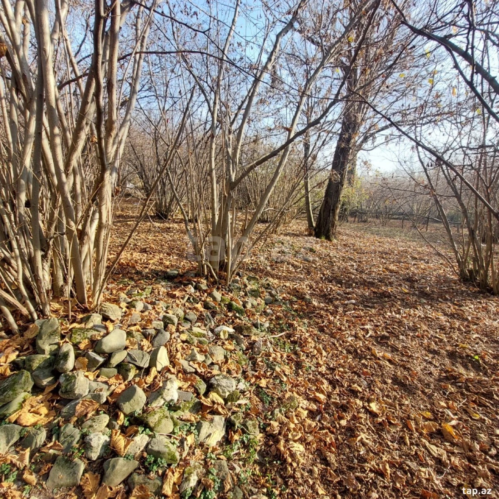 Satılır 5 otaqlı həyət evi 200 m²