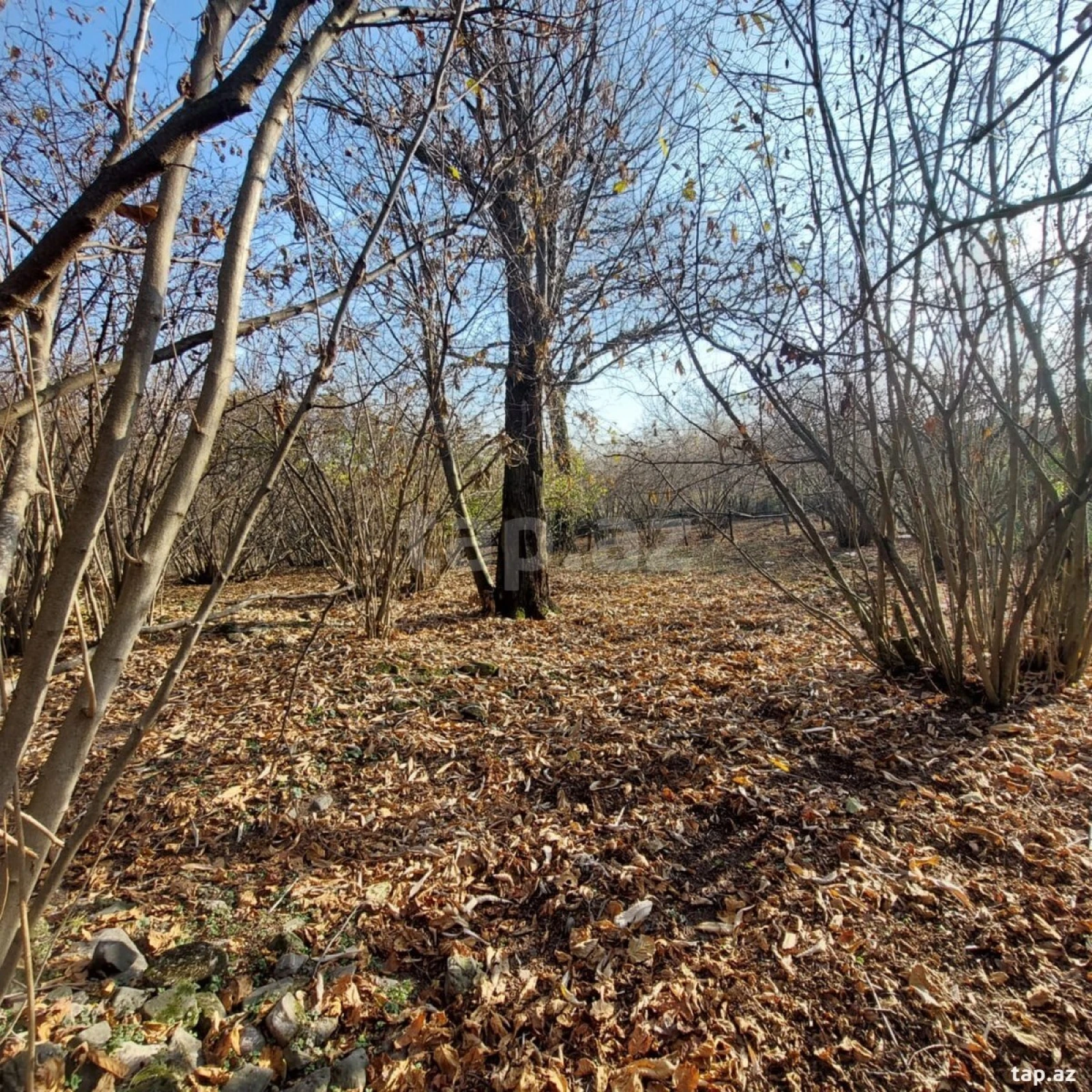 Satılır 5 otaqlı həyət evi 200 m²