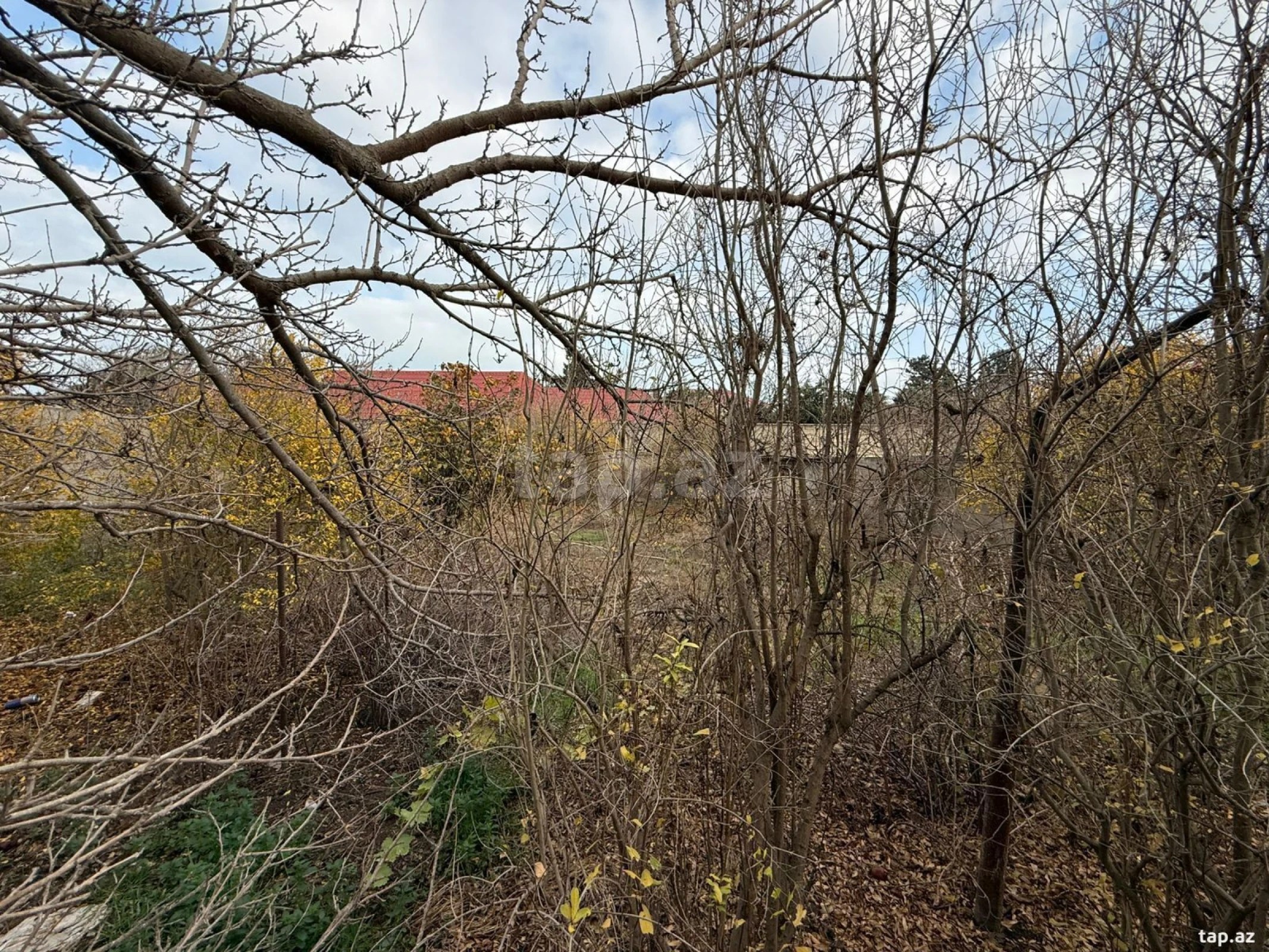 Satılır torpaq sahəsi