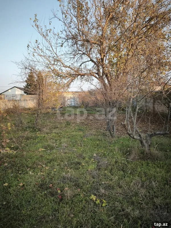 Satılır torpaq sahəsi