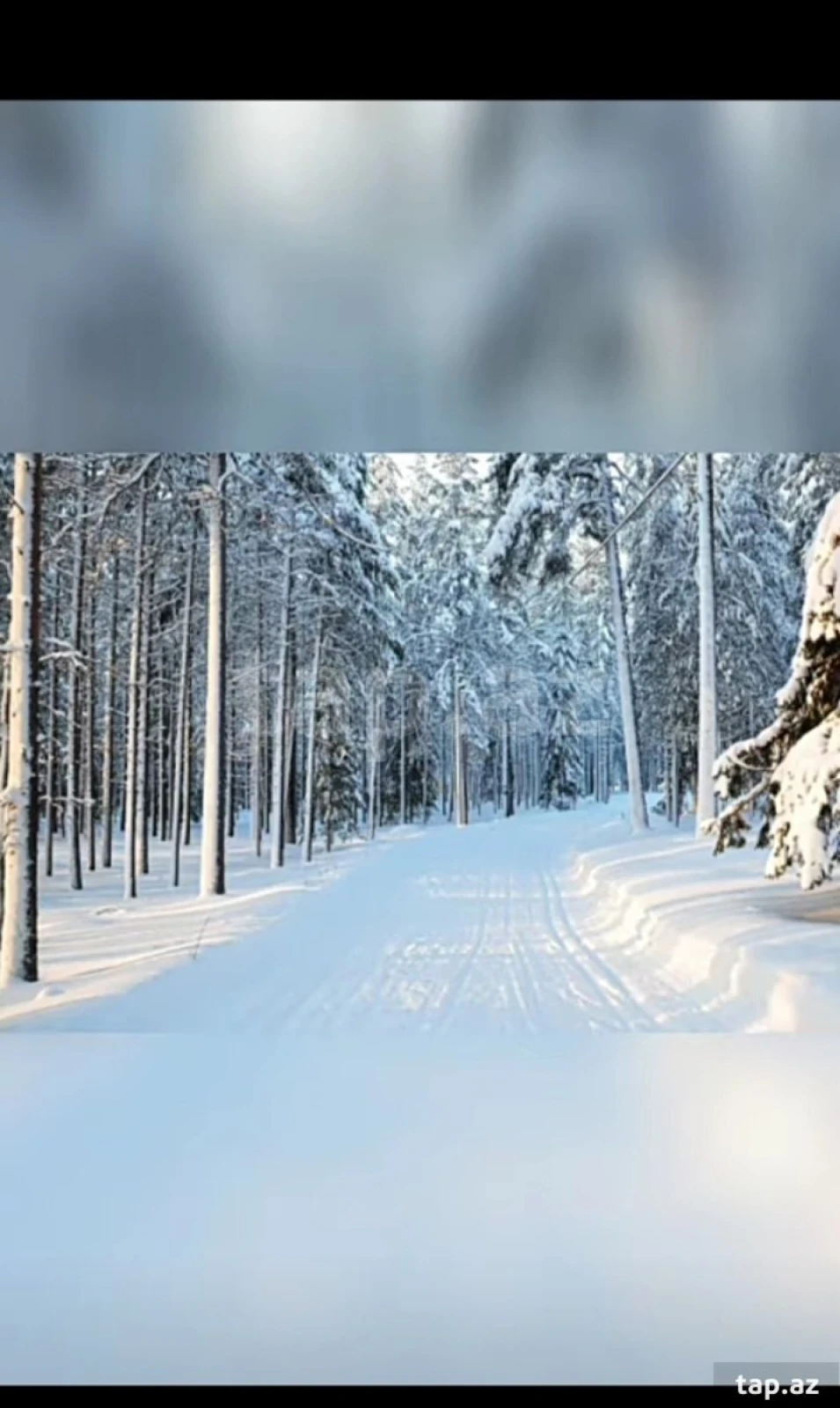 Kirayə verilir 5 otaqlı həyət evi