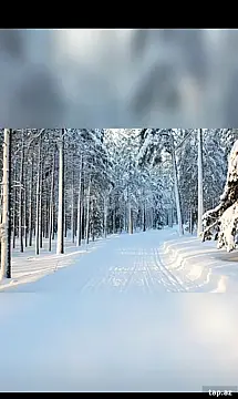 Kirayə verilir 5 otaqlı həyət evi