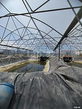 Satılır obyekt — Bakı, Türkan