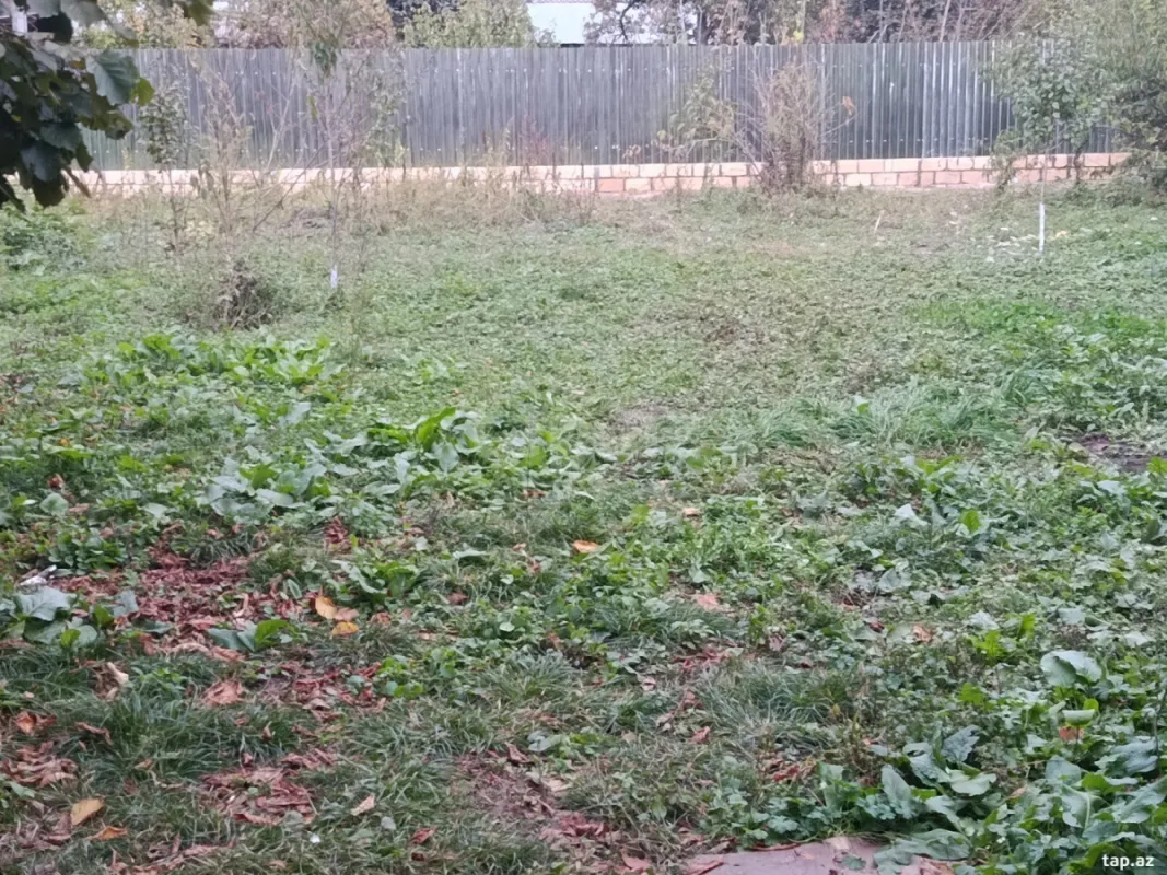 Satılır torpaq sahəsi