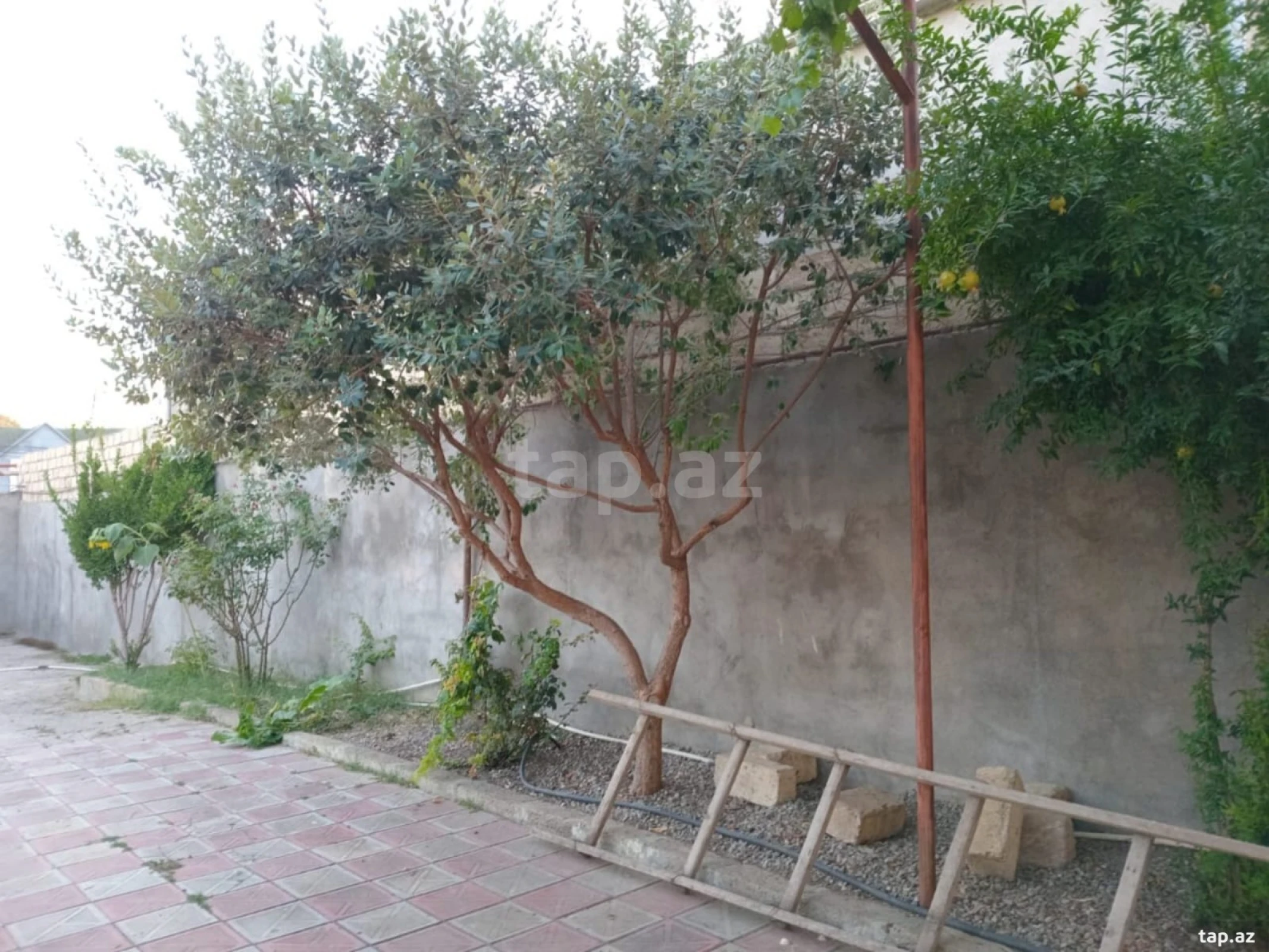 Kirayə verilir 4 otaqlı həyət evi