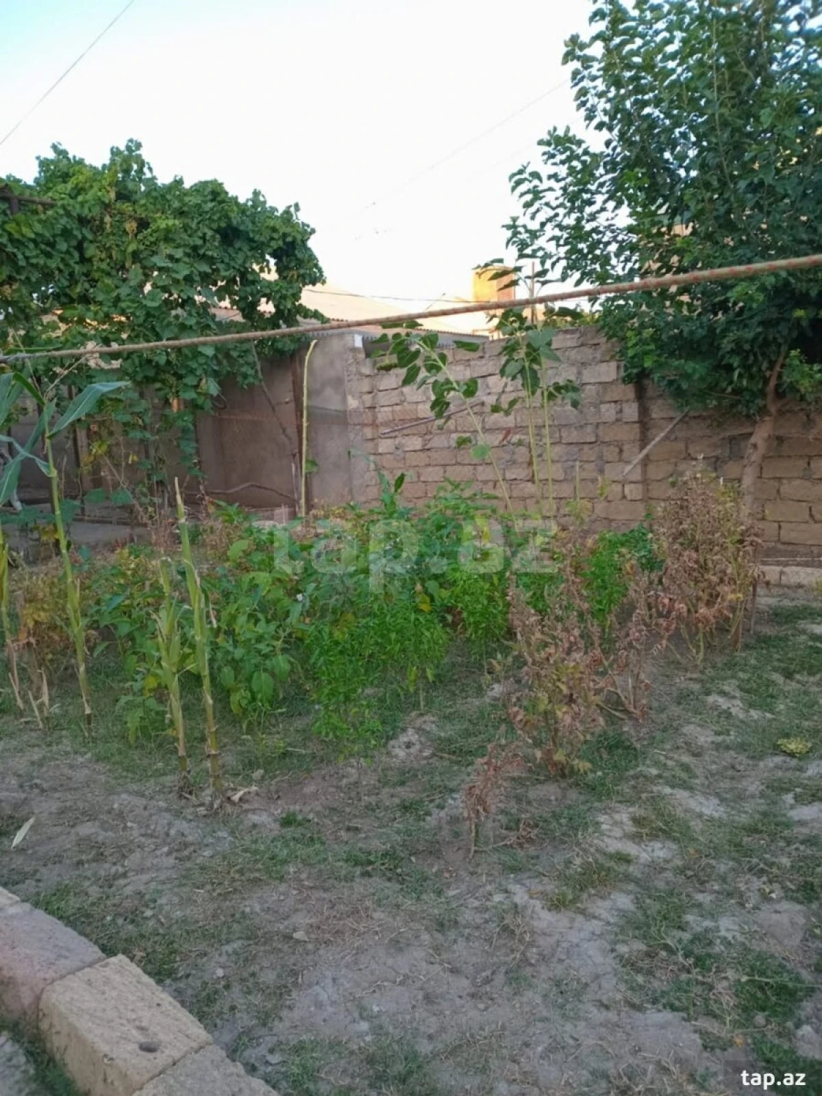 Kirayə verilir 4 otaqlı həyət evi