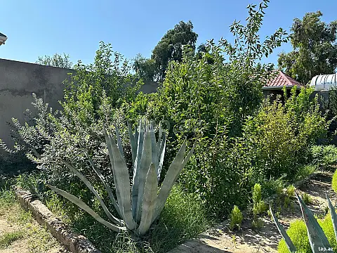 Satılır 7 otaqlı həyət evi