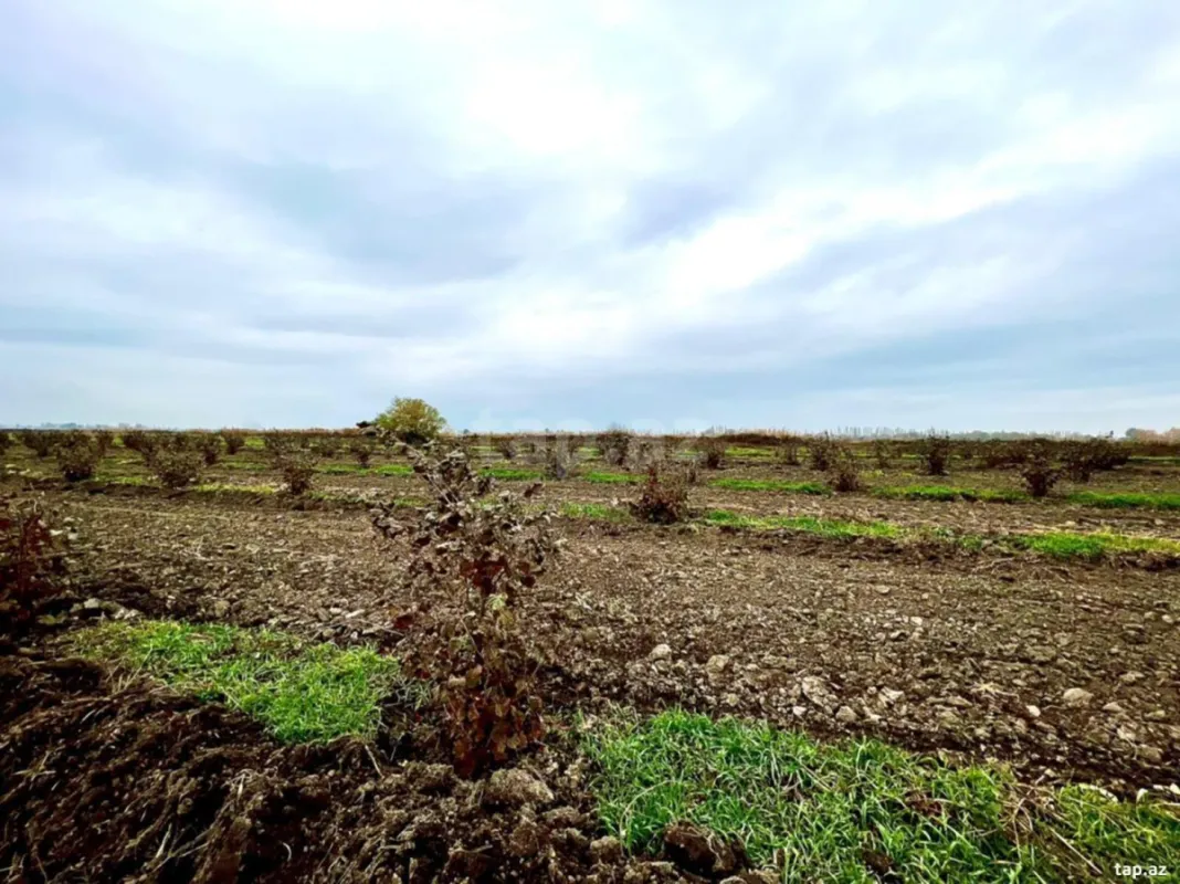 Satılır torpaq sahəsi
