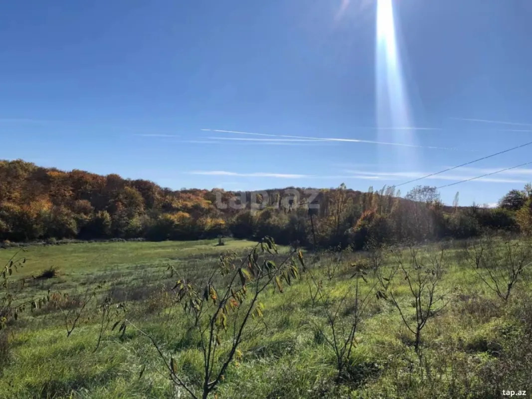 Satılır torpaq sahəsi