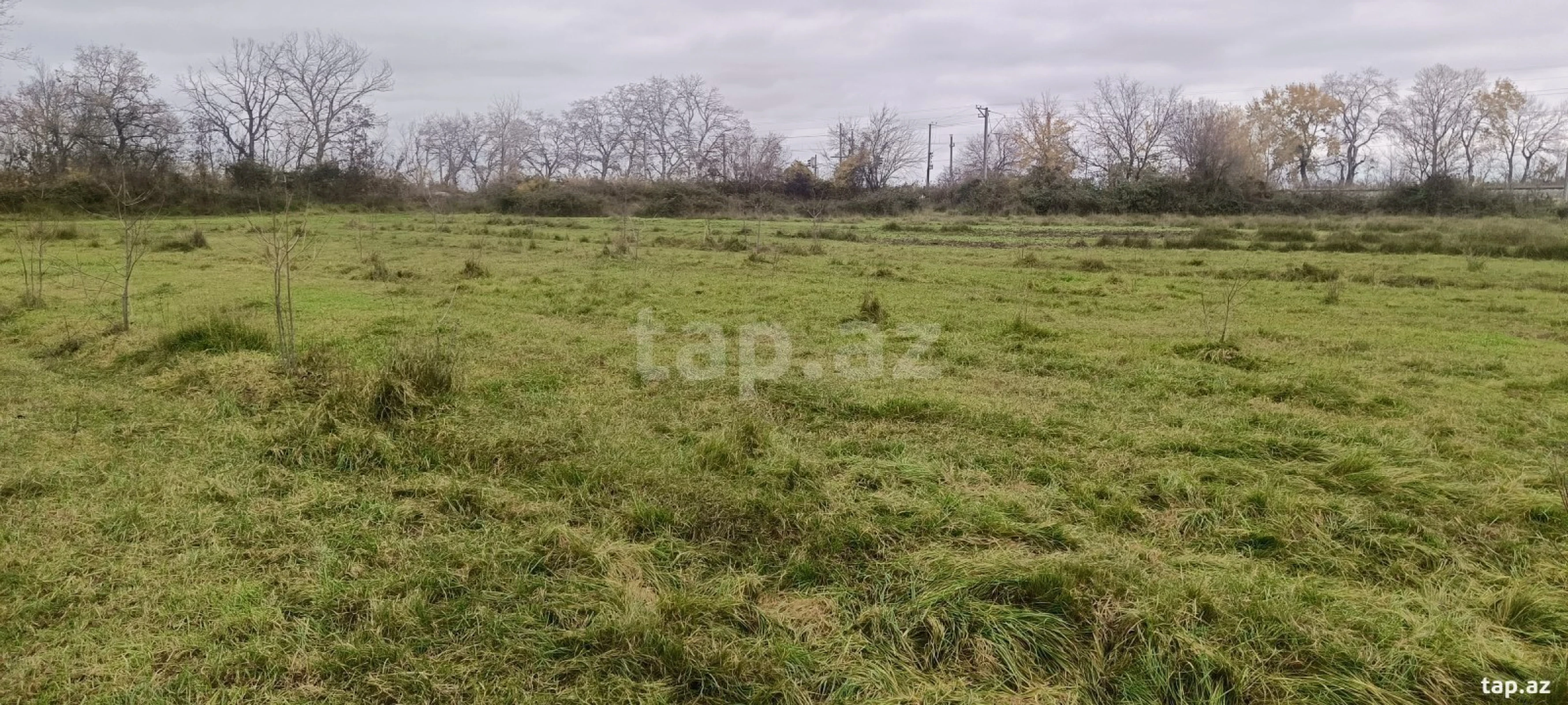 Satılır torpaq sahəsi