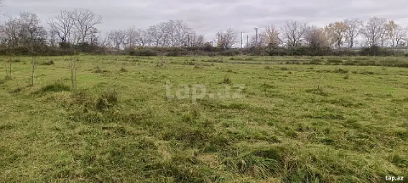Satılır torpaq sahəsi — Bakı