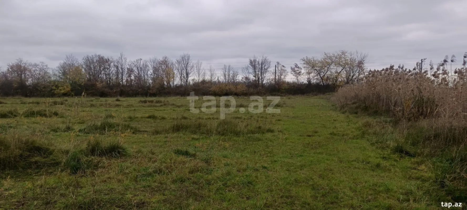 Satılır torpaq sahəsi