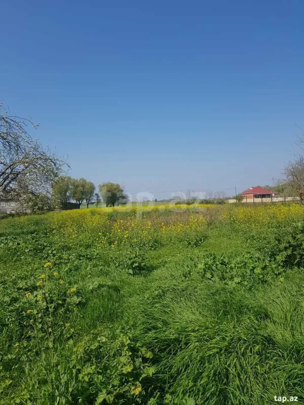 Satılır 5 otaqlı həyət evi