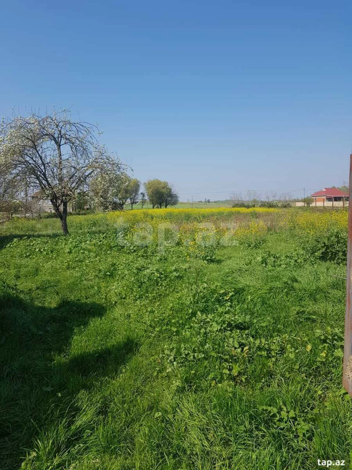 Satılır 5 otaqlı həyət evi