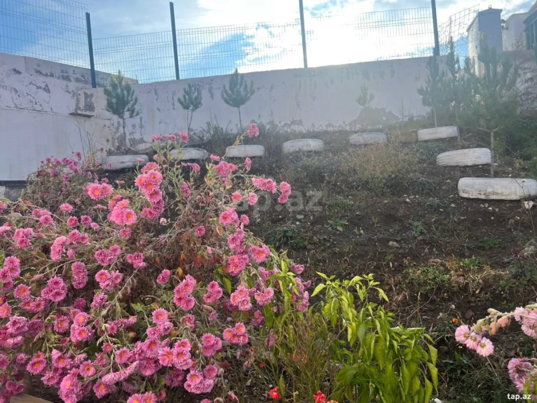 Kirayə verilir 2 otaqlı həyət evi