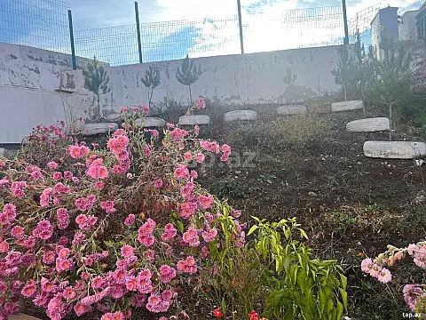 Kirayə verilir 2 otaqlı həyət evi