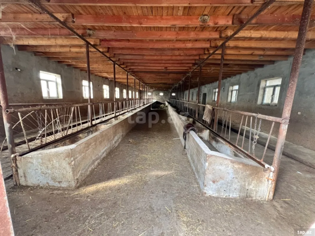 Kirayə verilir obyekt