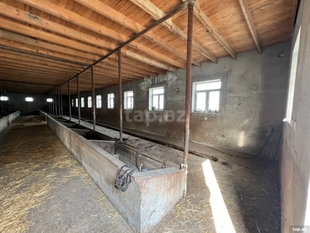 Kirayə verilir obyekt