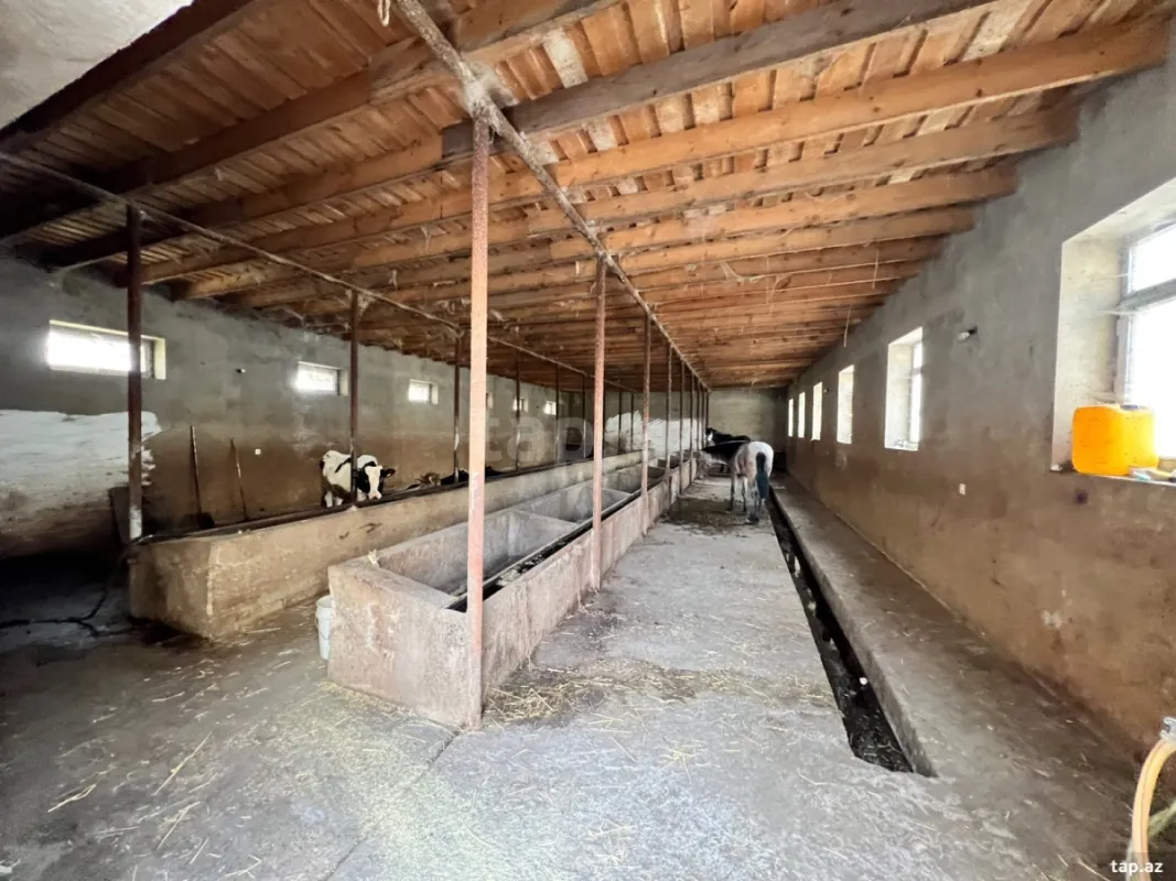 Kirayə verilir obyekt