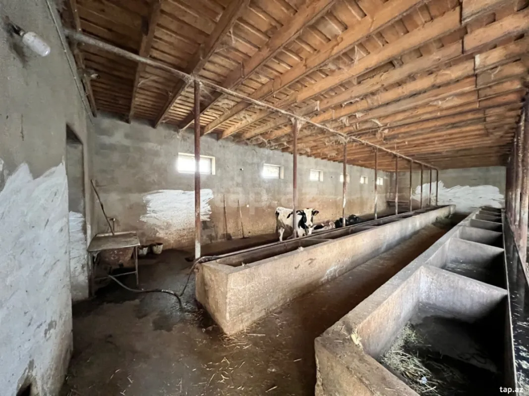 Kirayə verilir obyekt