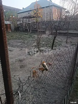 Satılır torpaq sahəsi — Şəki