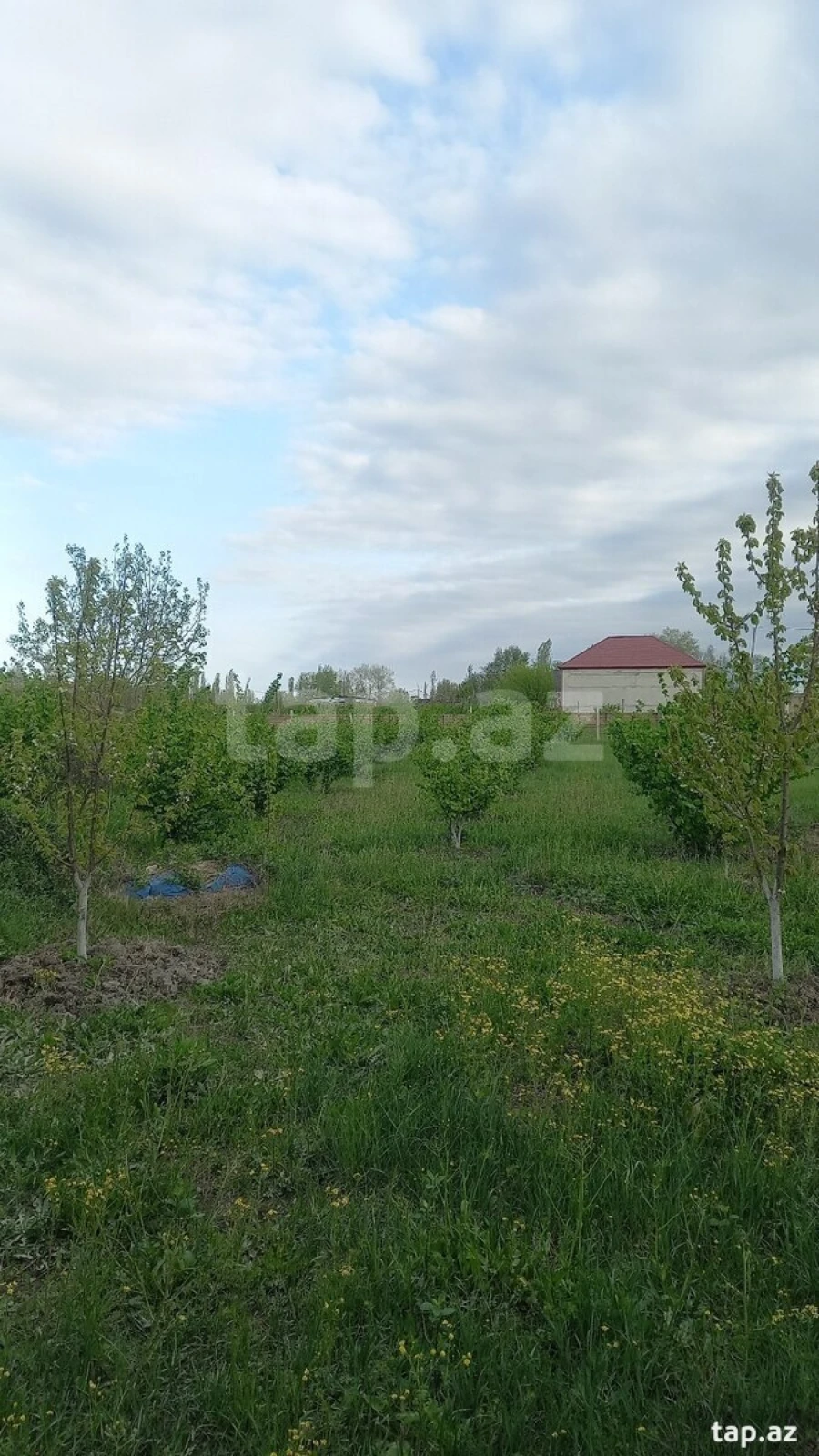 Satılır 4 otaqlı həyət evi