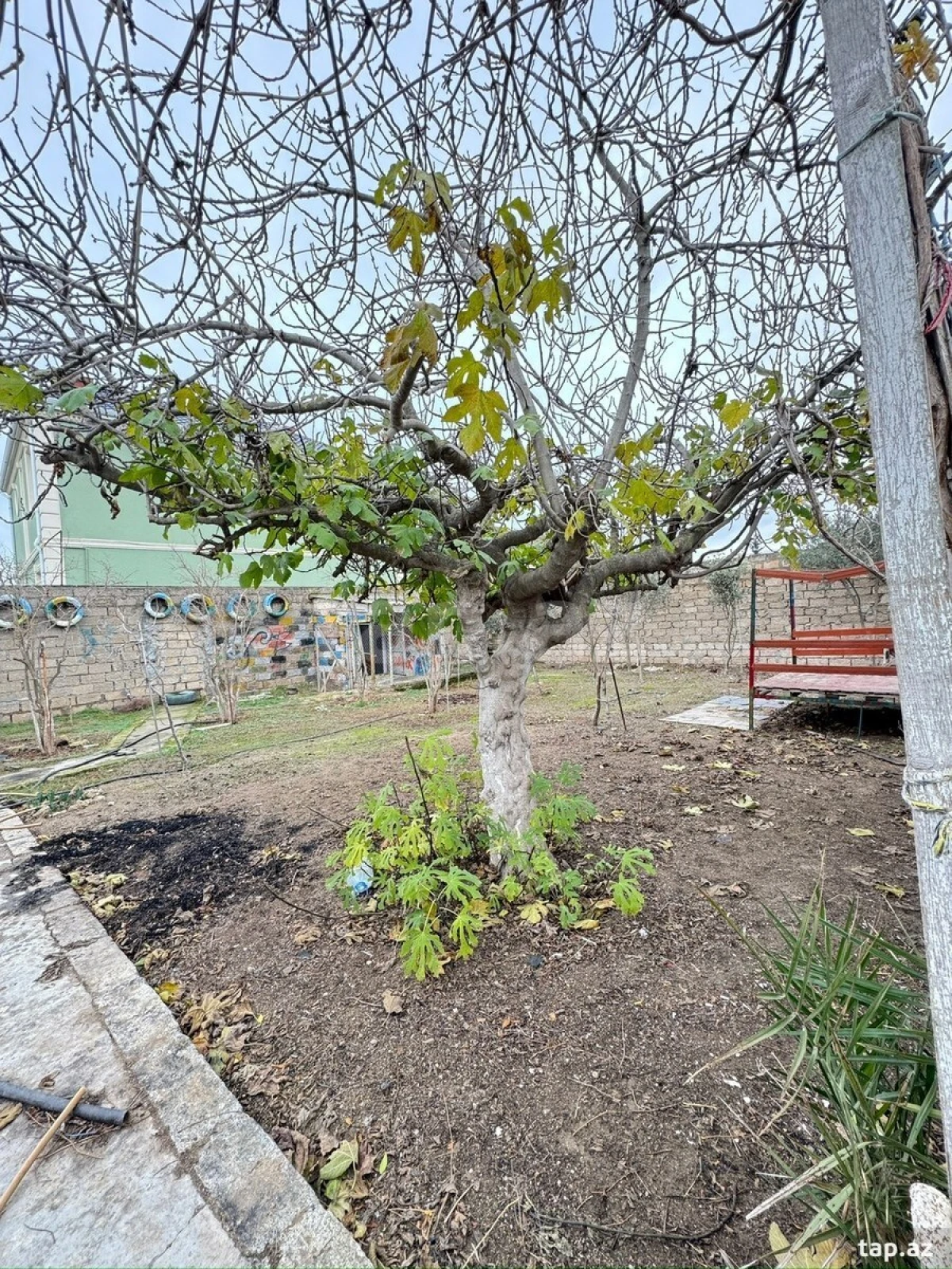 Satılır 4 otaqlı həyət evi