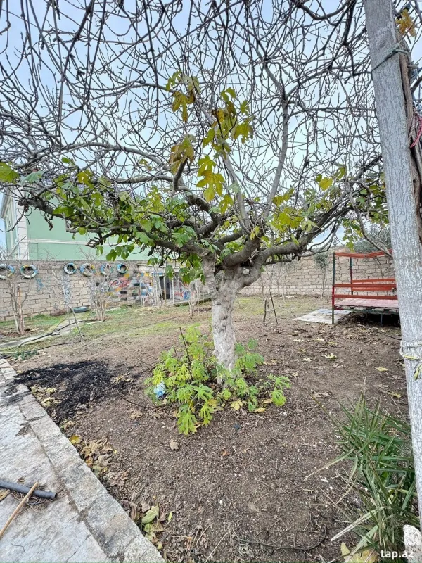 Satılır 4 otaqlı həyət evi