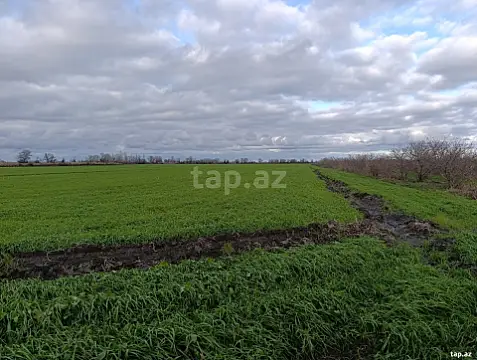 Satılır torpaq sahəsi
