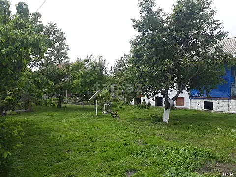 Satılır torpaq sahəsi — Qəbələ