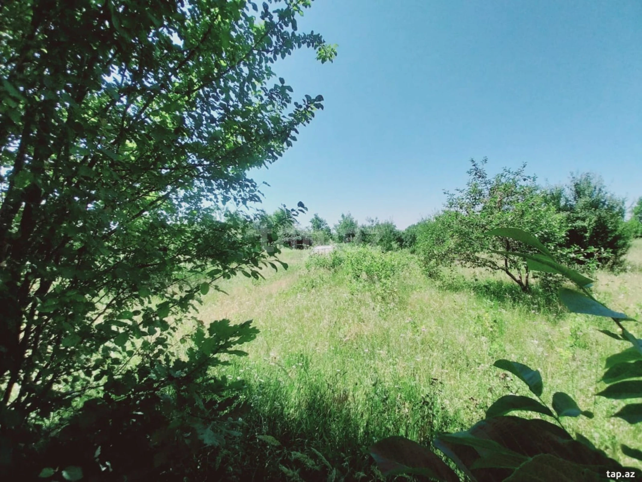 Satılır torpaq sahəsi