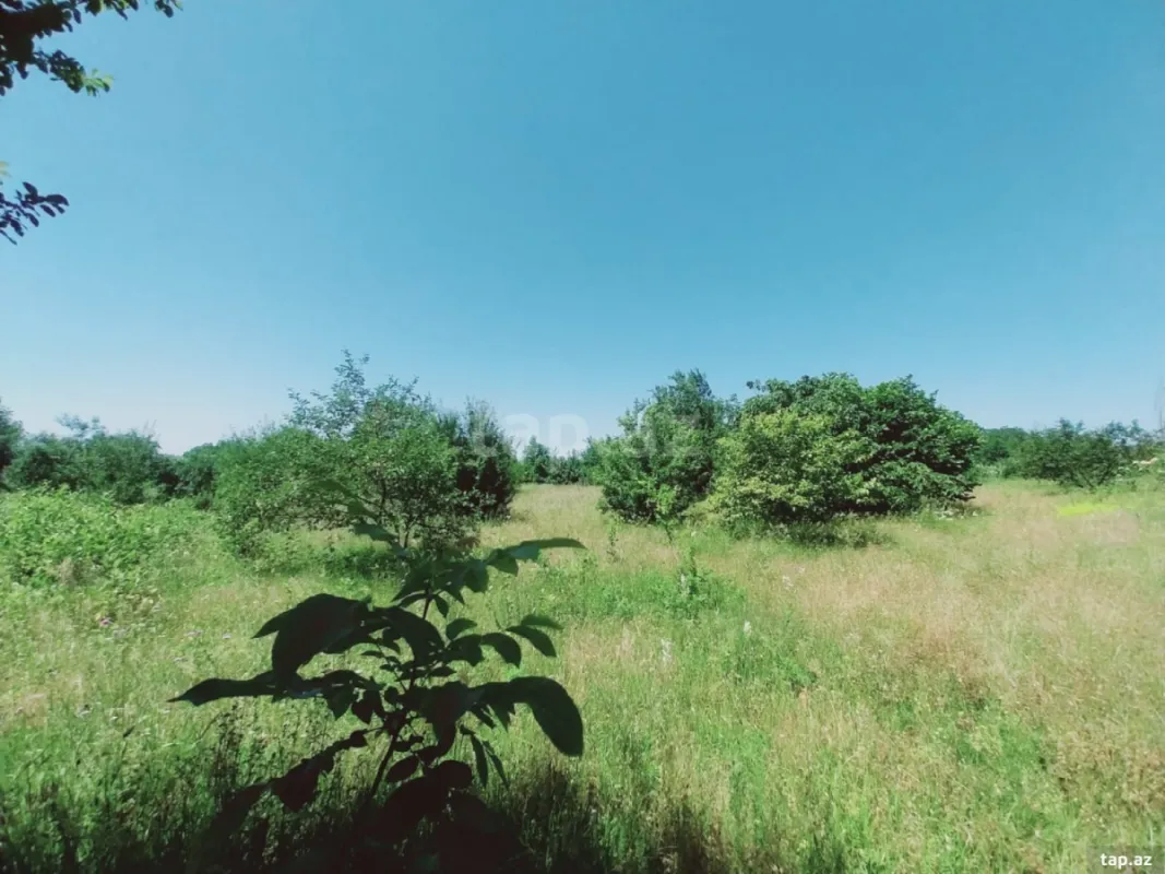 Satılır torpaq sahəsi