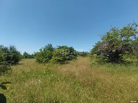 Satılır torpaq sahəsi — Qəbələ