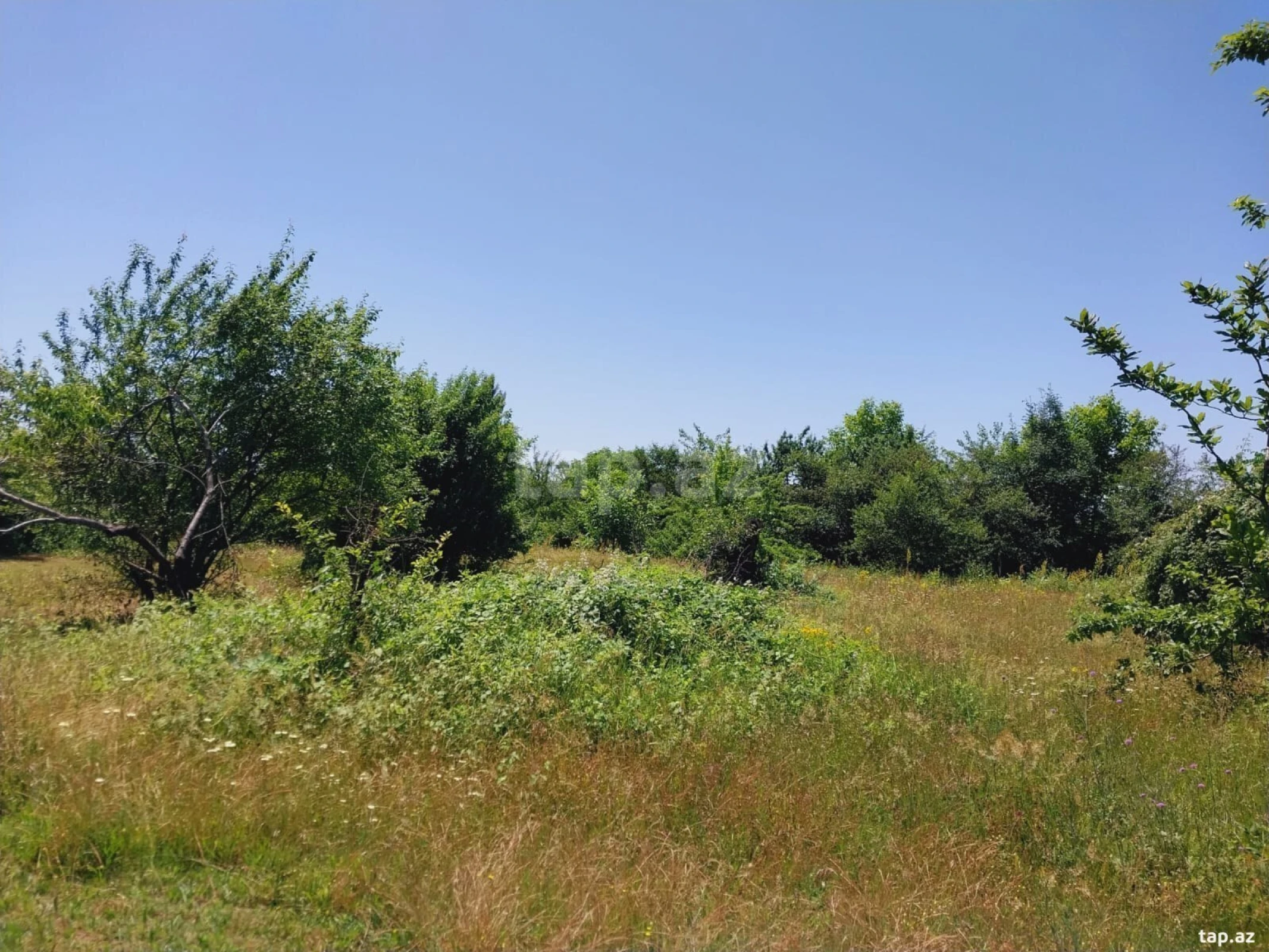 Satılır torpaq sahəsi