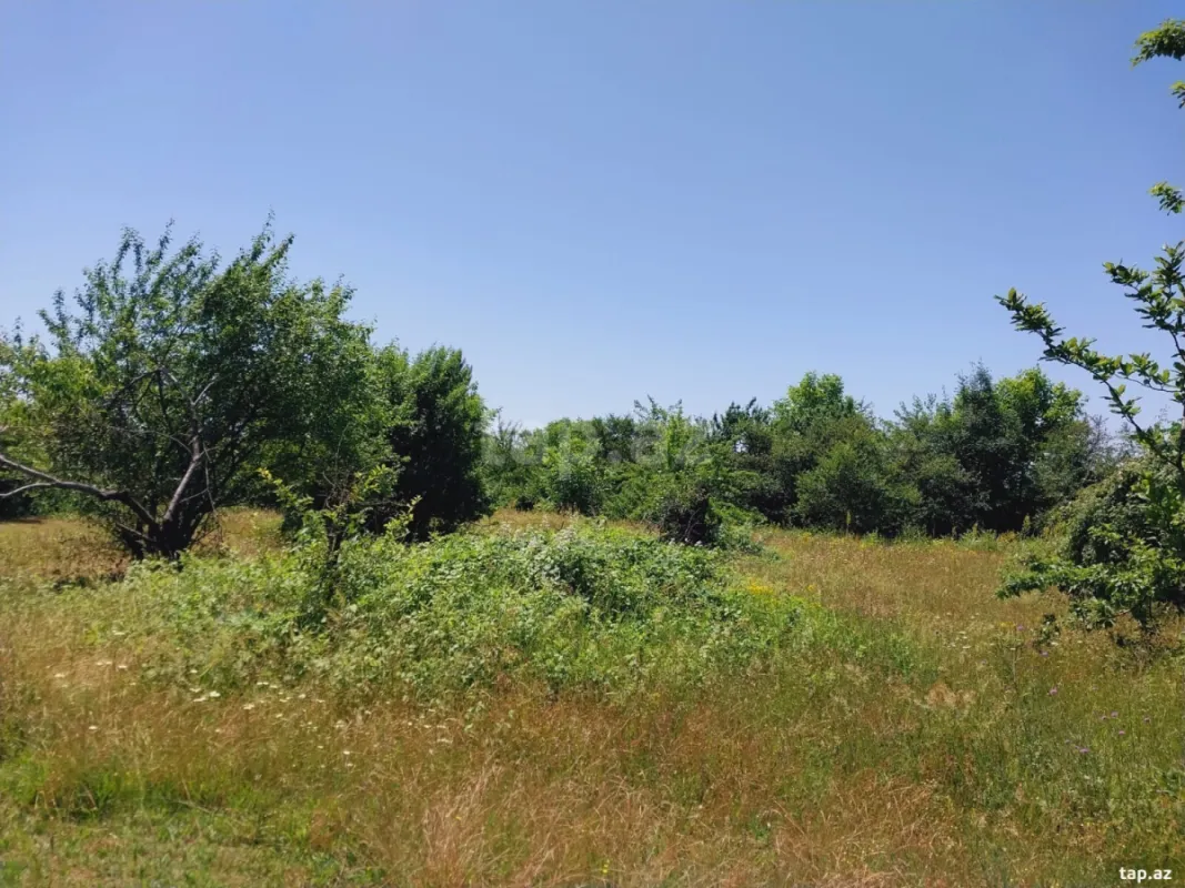 Satılır torpaq sahəsi