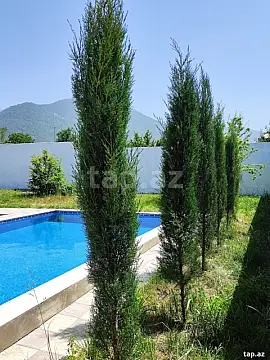 Kirayə verilir 5 otaqlı həyət evi