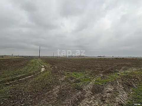 Satılır torpaq sahəsi — Şabran