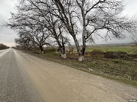 Satılır torpaq sahəsi — Şabran