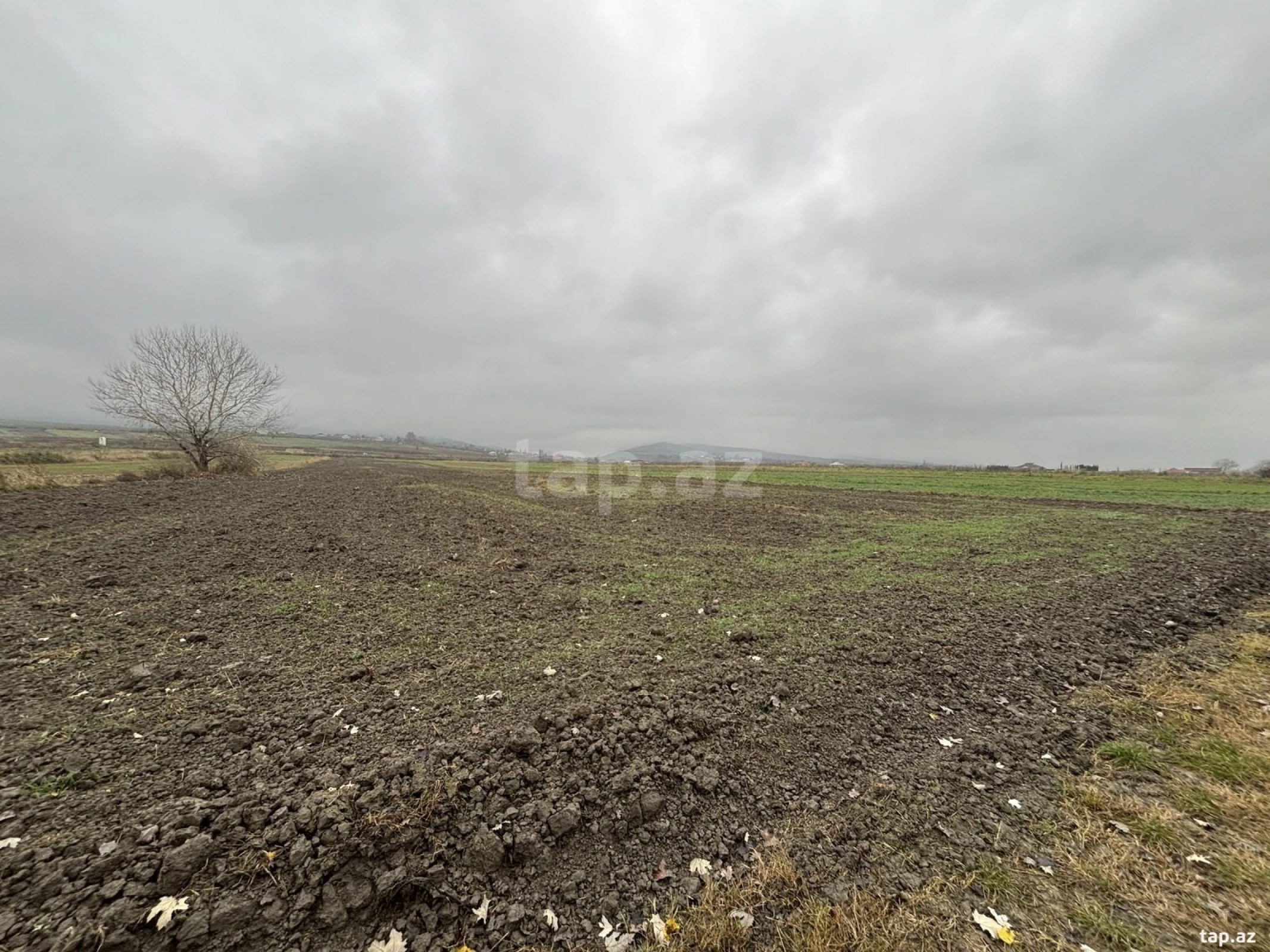 Satılır torpaq sahəsi
