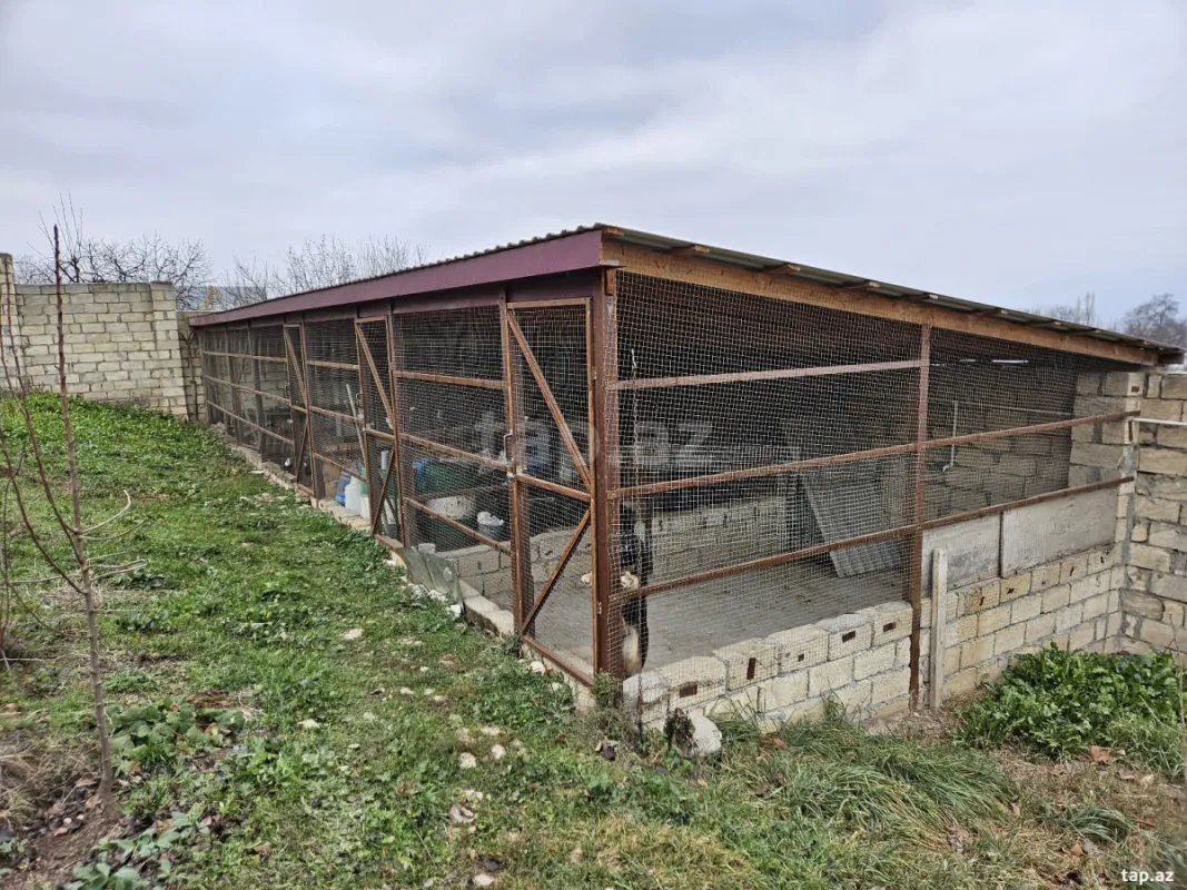 Satılır 3 otaqlı həyət evi