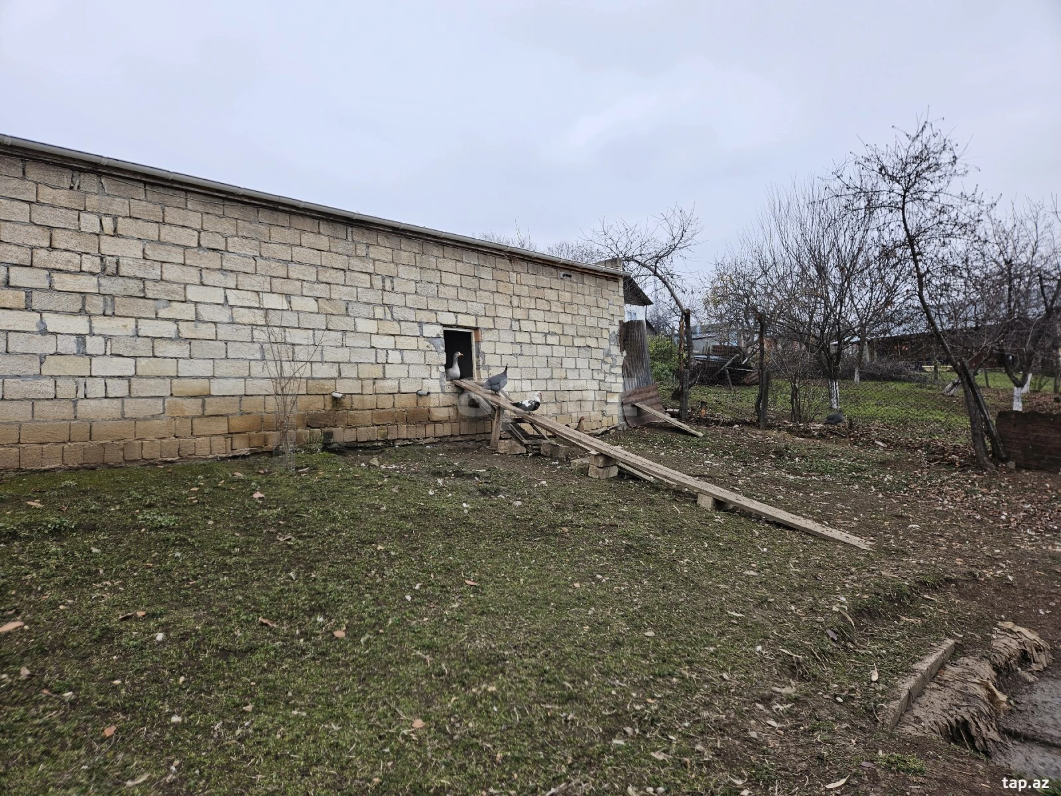 Satılır 3 otaqlı həyət evi