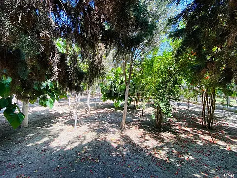 Satılır 5 otaqlı həyət evi